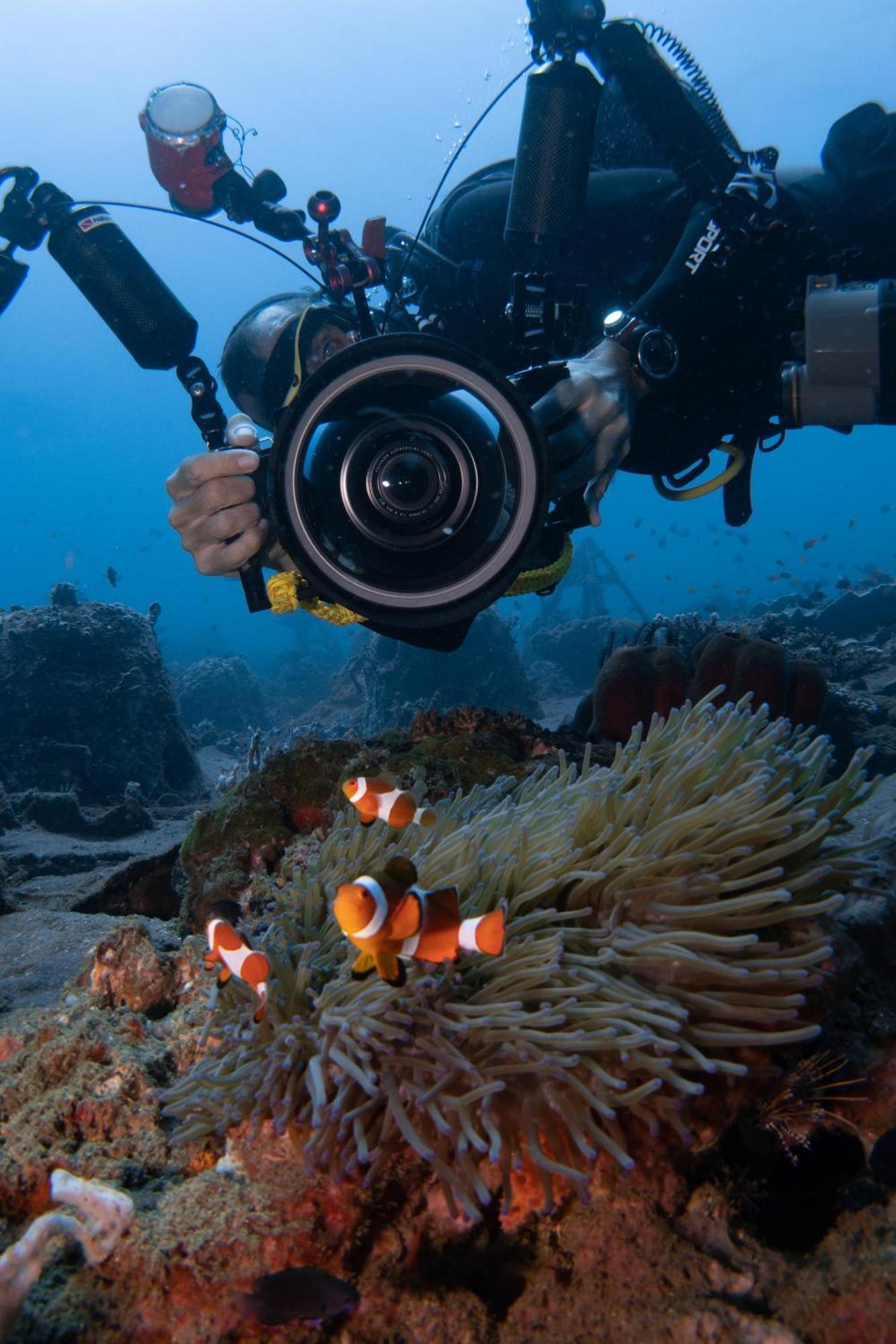 Vitaminsea Room Дауін Екстер'єр фото
