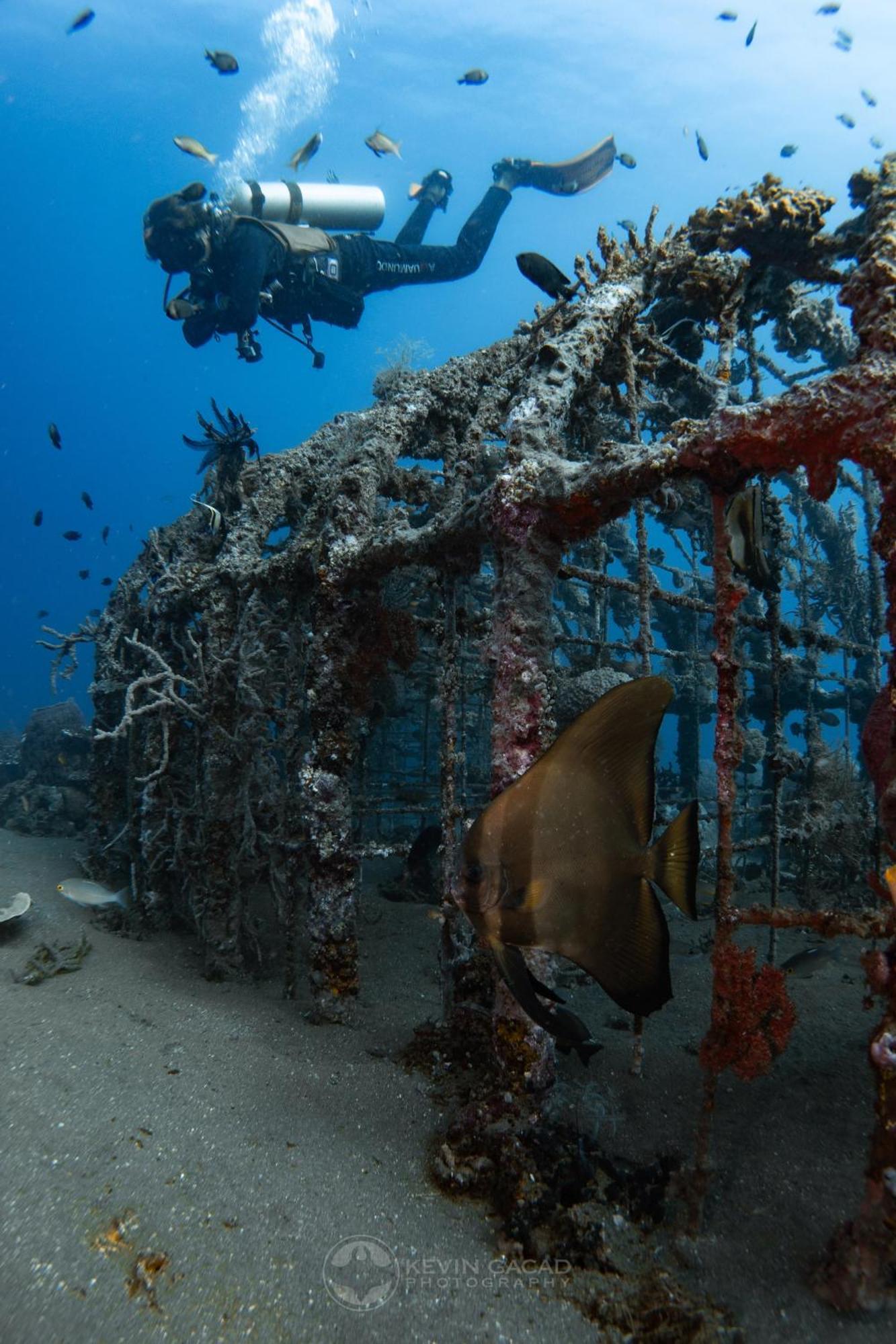 Vitaminsea Room Дауін Екстер'єр фото