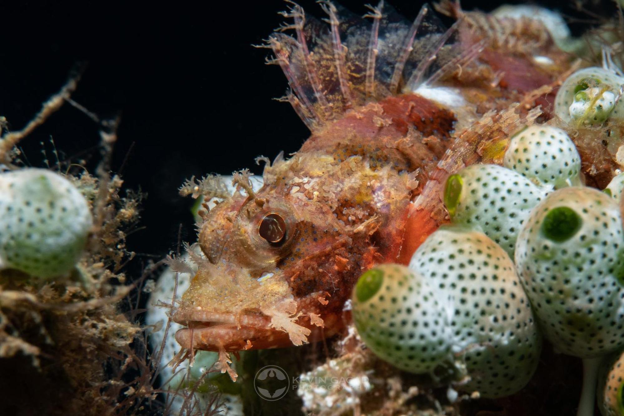 Vitaminsea Room Дауін Екстер'єр фото